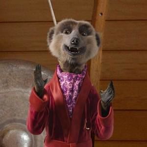 Meet your Posher, Jodie